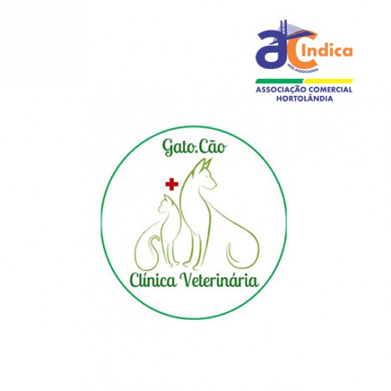 Gato.Cão Clinica Veterinária